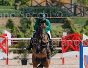 GOVONI WINN WINN CampITA2013- S5 9001 : Campionati Italiani 2013, Cattolica, GOVONI GIANNI, Horse Riviera Resort, WINN WINN, foto di Stefano Secchi ©